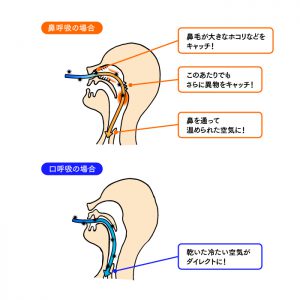 どっち ウイルス ウィルス