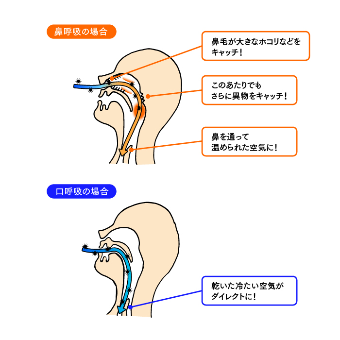 Vol.3 口呼吸と鼻呼吸、 あなたはどっち派？ | 宇都宮内科医院